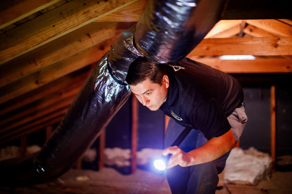 Pest Control Technician checking the attic of a house