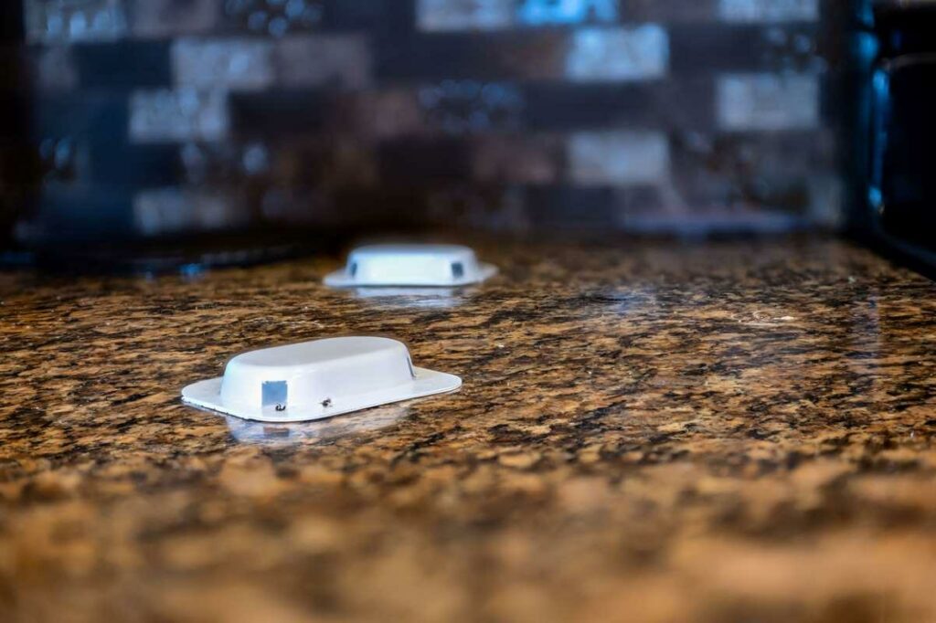 Two poison ant traps on a granite kitchen countertop.