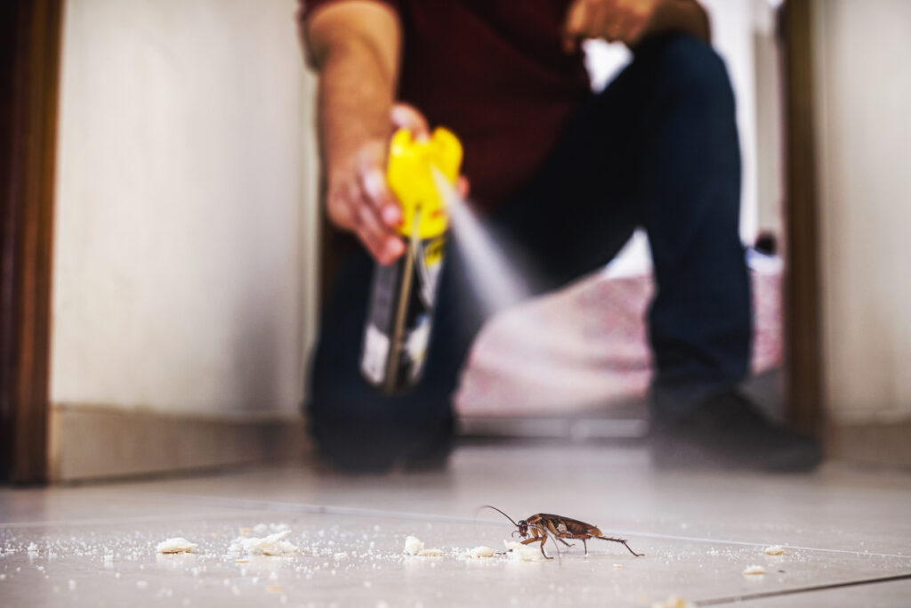 A man spraying a cockroach with aerosol poison spray on the tile floor of his home.