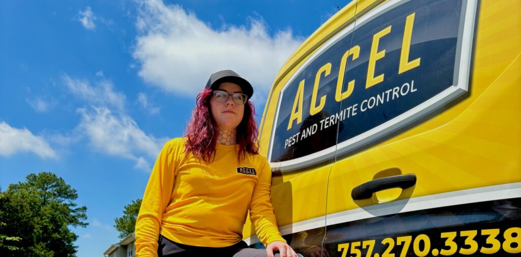 Common Pests in Newport News, VA