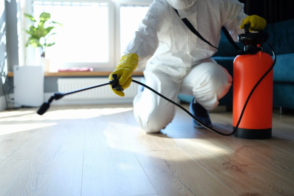 A pest control technician provides a preventive treatment to a wooden floor.