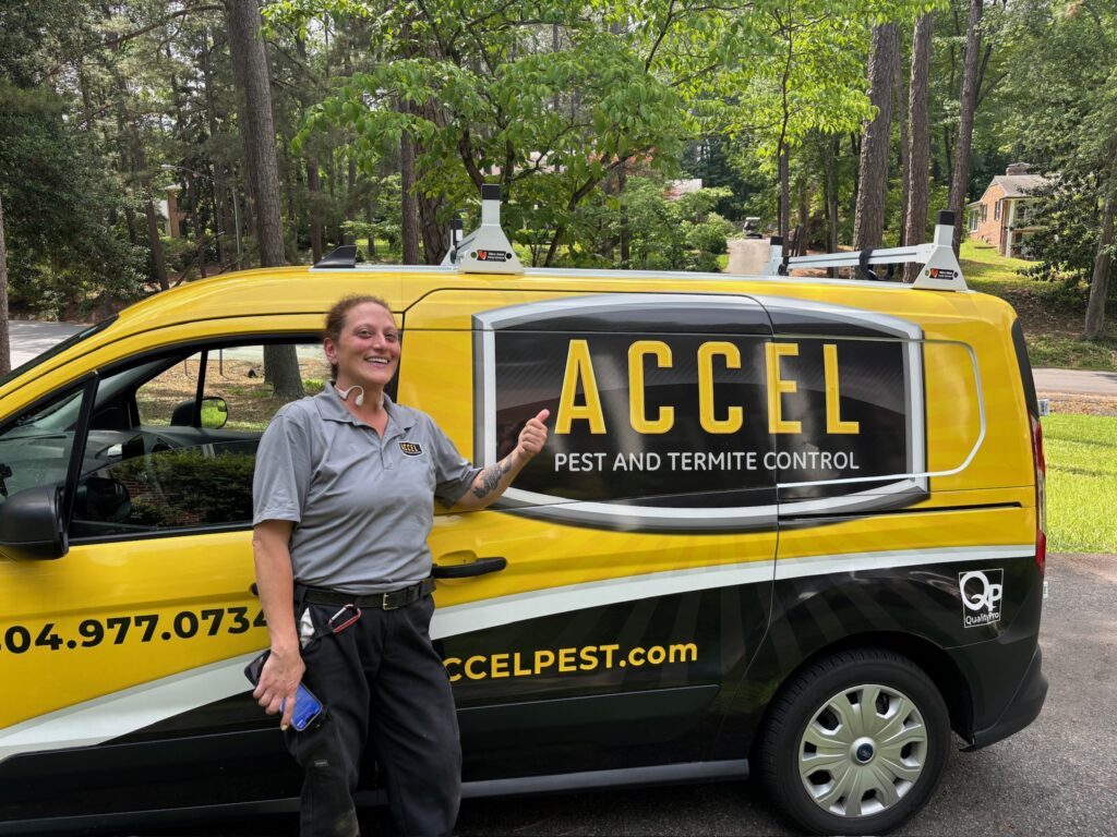 Accel Pest and Termite Control Named the Best Medium-Sized Pest Control Company