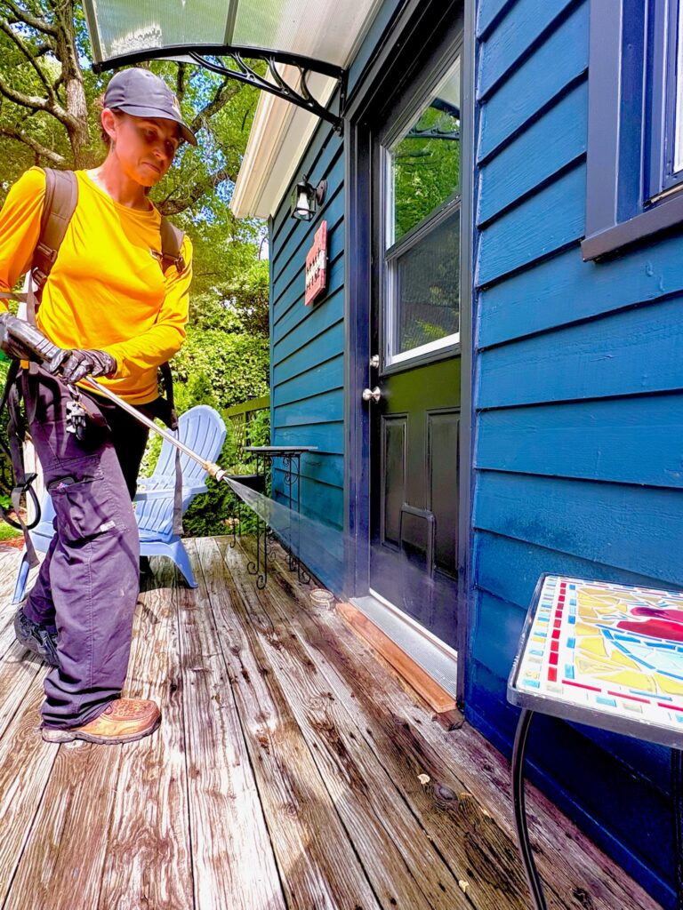 Unusual Bugs and Pests Found in Your Home